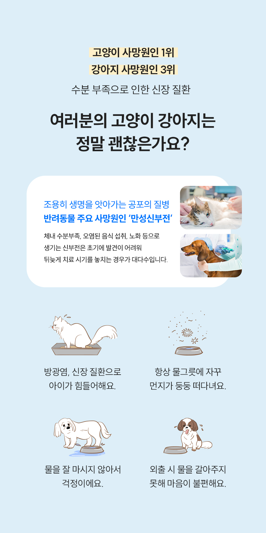 수분 부족으로 인한 신장 질환을 앓는 강아지 고양이를 위한 제품