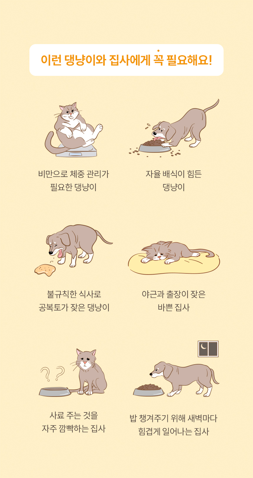 이런 댕냥이와 집사에게 꼭 필요해요!
