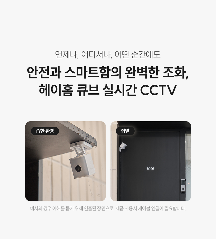 습한 환경도 집앞도
