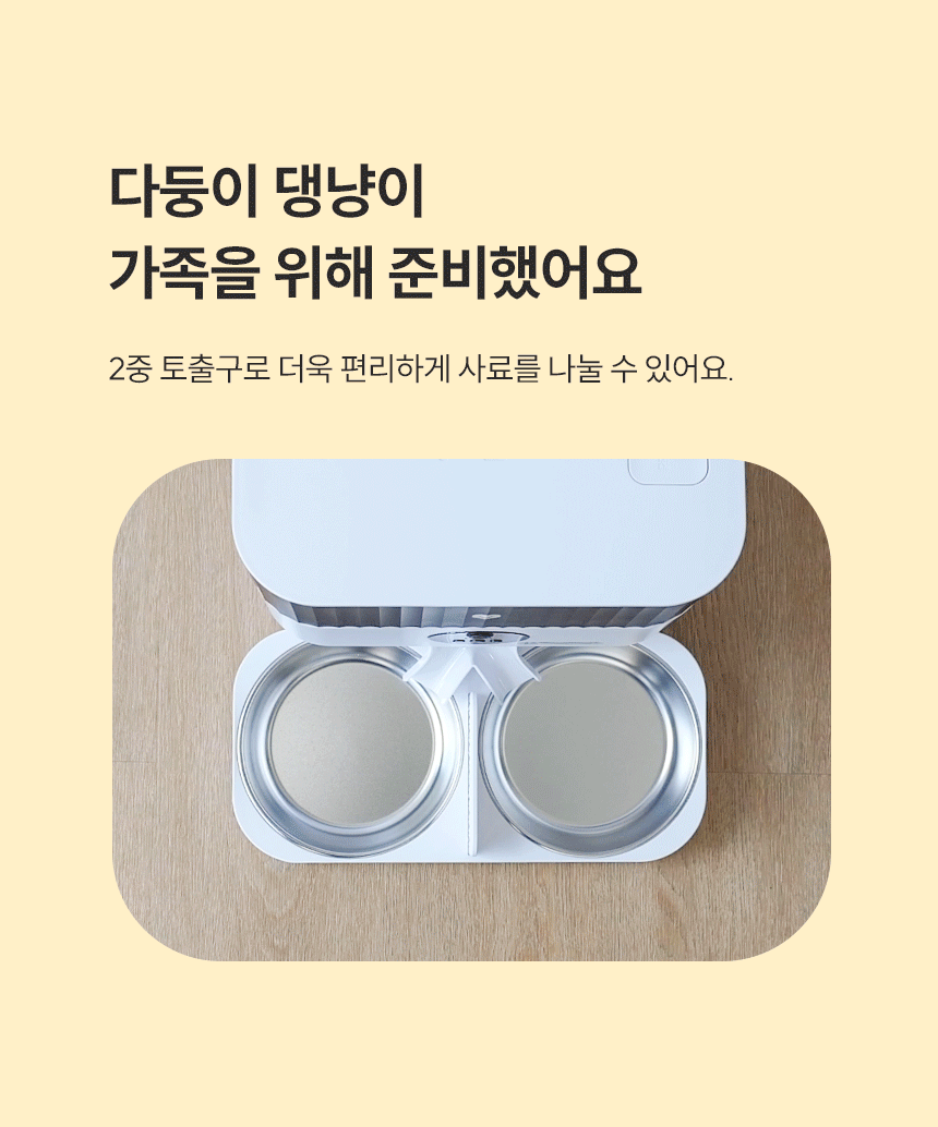 다둥이 댕냥이 가족을 위해 준비했어요