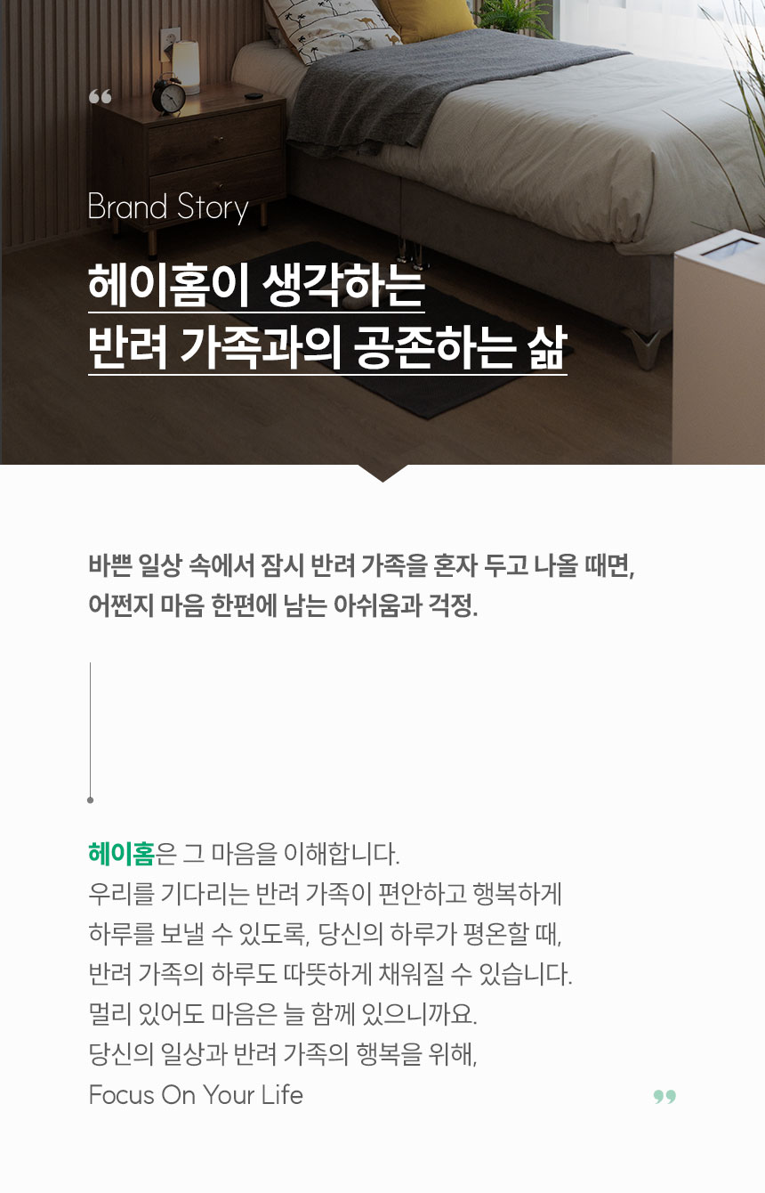헤이홈의 생각