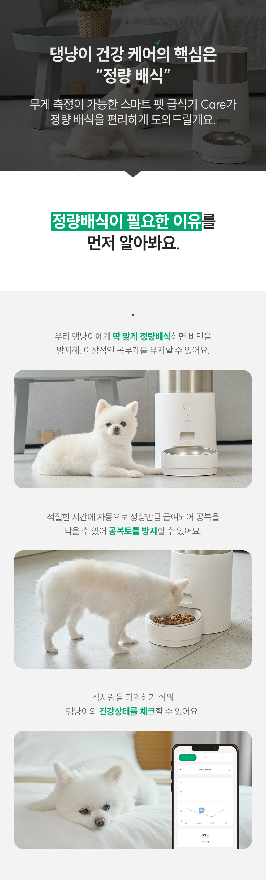 정량 배식