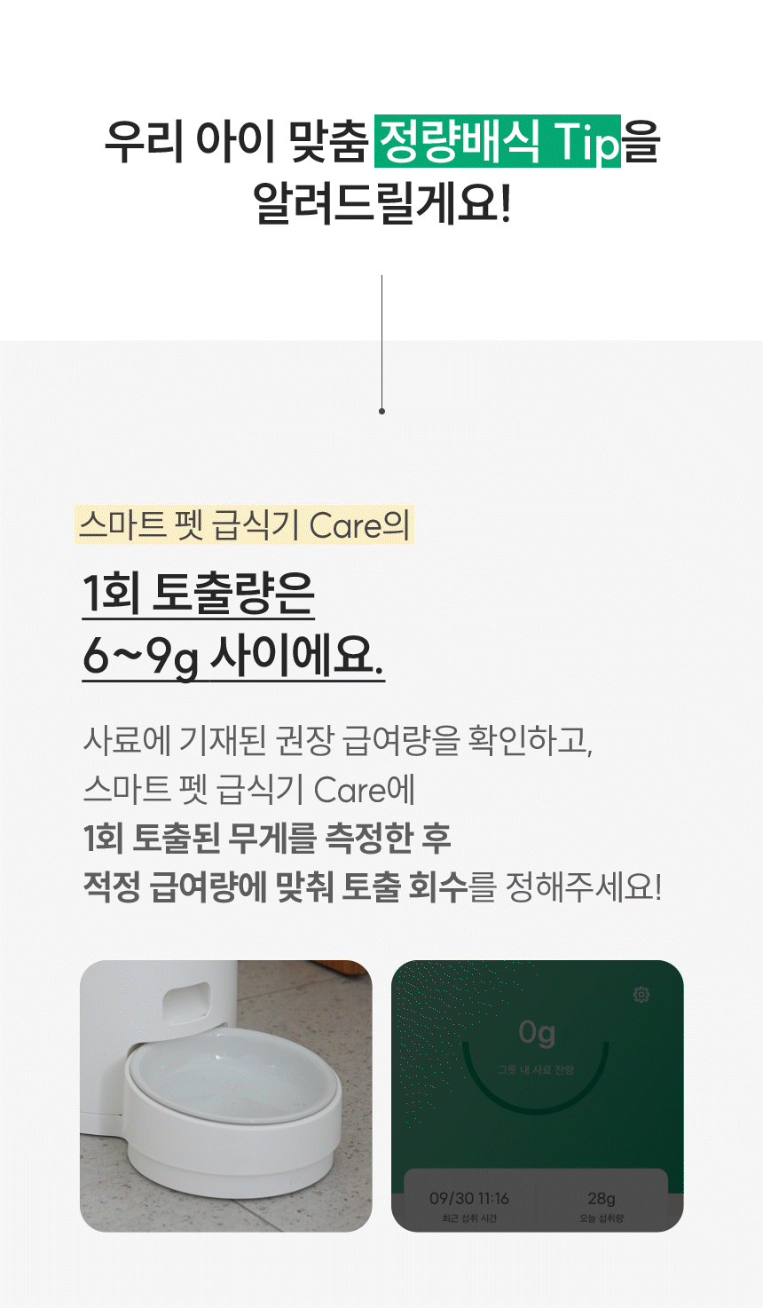정량 배식 tip