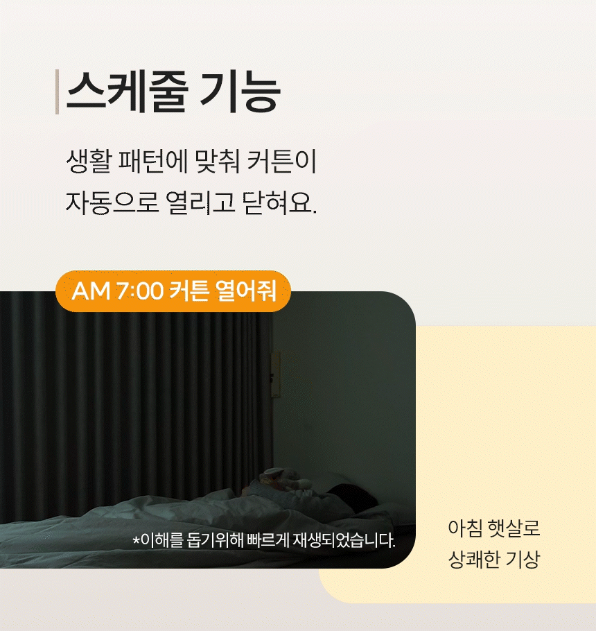 스케줄 기능