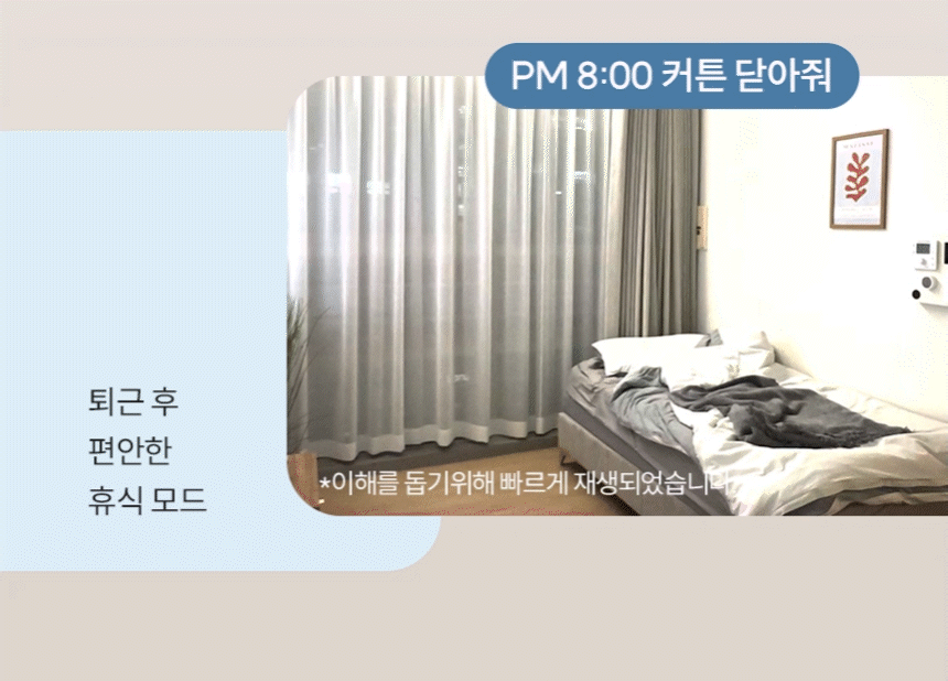 스케줄 기능